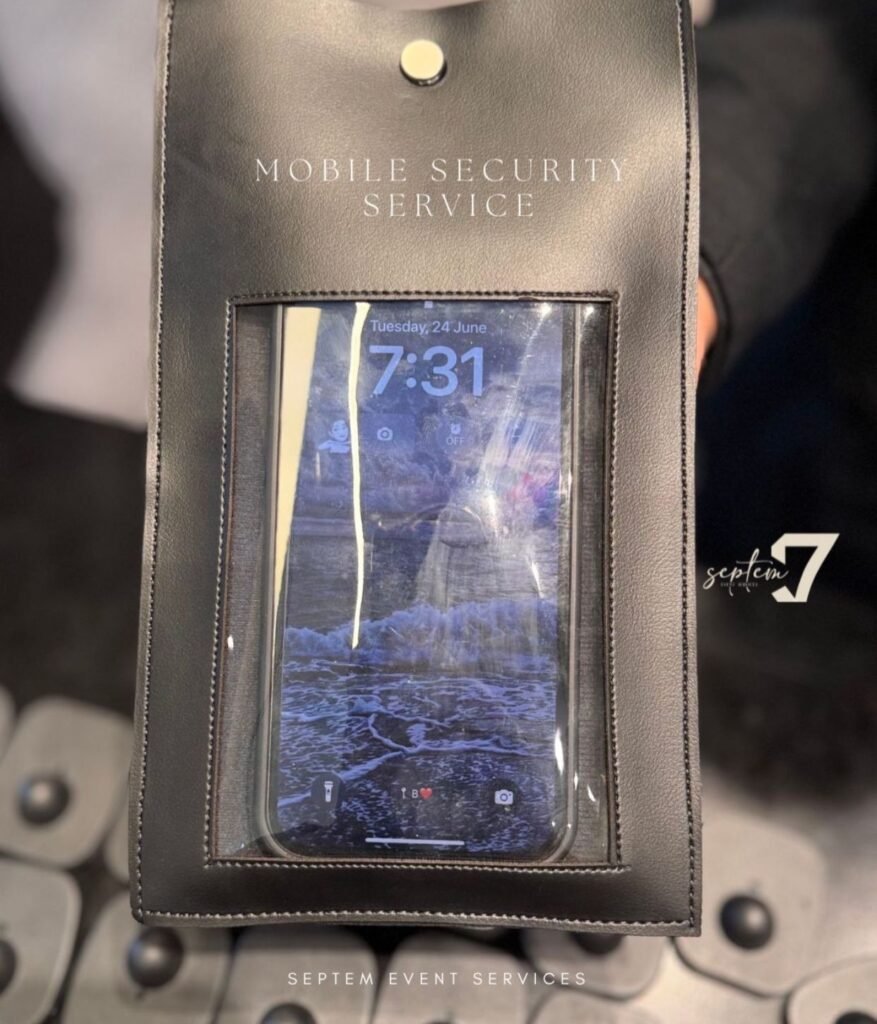 Private Event Security Services in Cairo